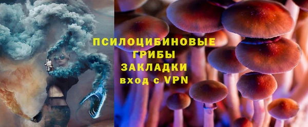 mix Богородицк