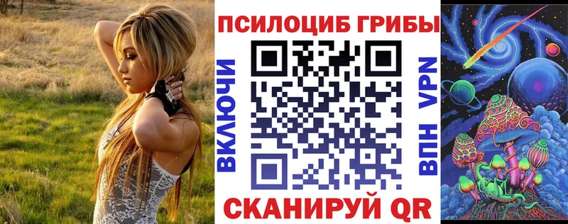darknet наркотические препараты Медногорск Галлюциногенные грибы Psilocybine cubensis
